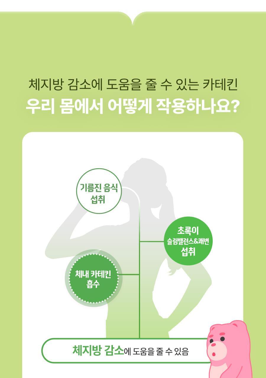 초록이_슬림밸런스