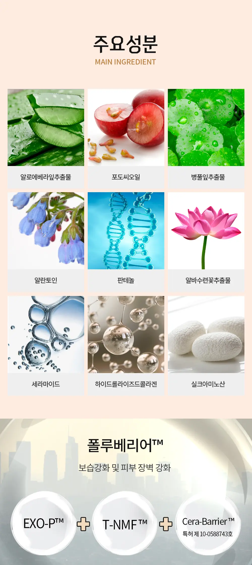 홀리카홀리카 하드커버 리퀴드 컨실러  이미지